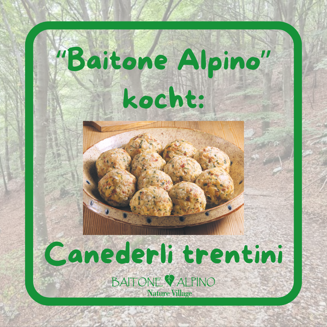 BaitoneAlpino kocht: Canederli Trentini